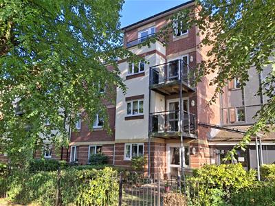 Picture 19